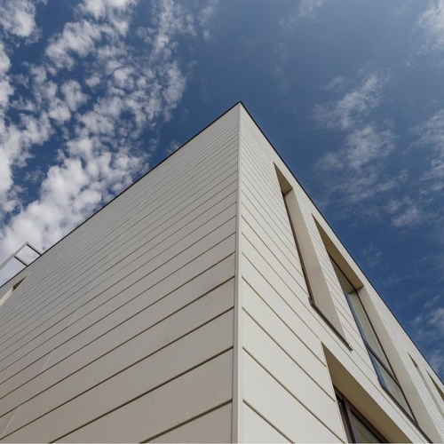 Сайдинг CEDRAL smooth (гладкий) С54